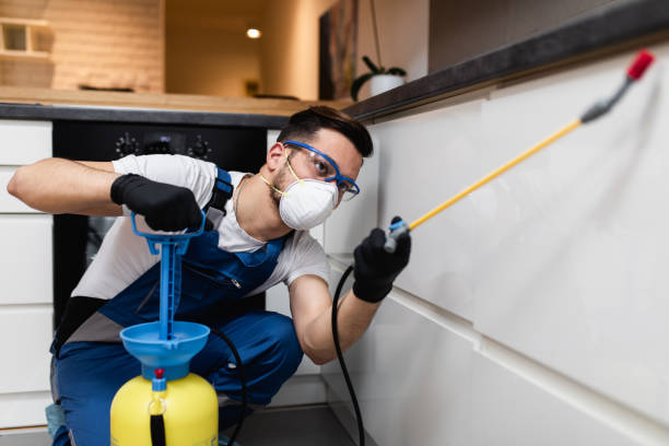 Best Pest Prevention Services  in San Antonio, TX