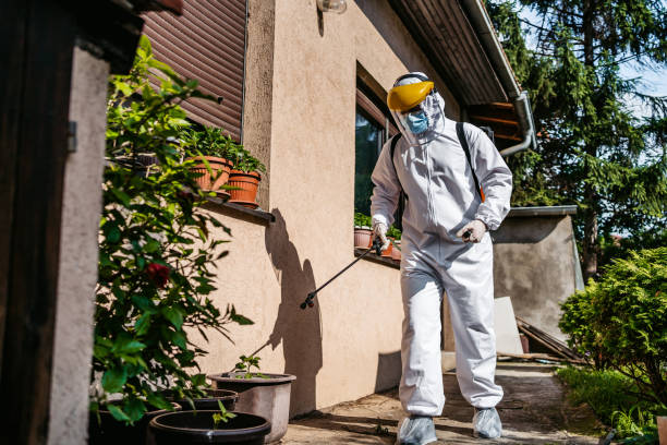 Best Termite Control Services  in San Antonio, TX