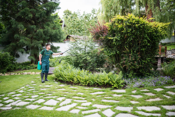 Best Ant Control Services  in San Antonio, TX