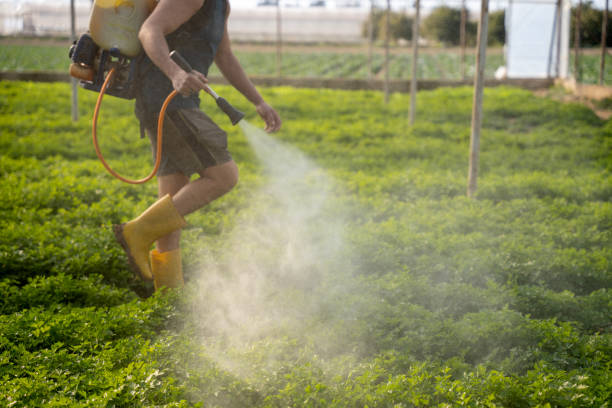 Best Affordable Pest Control Services  in San Antonio, TX