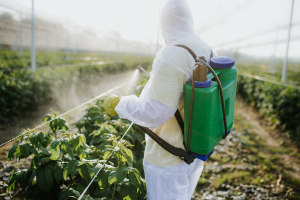 Best Local Pest Control Services  in San Antonio, TX